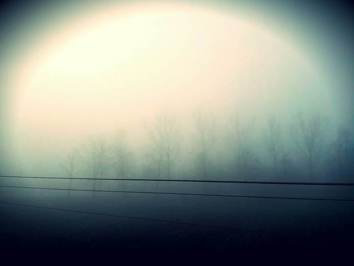 in the fog
