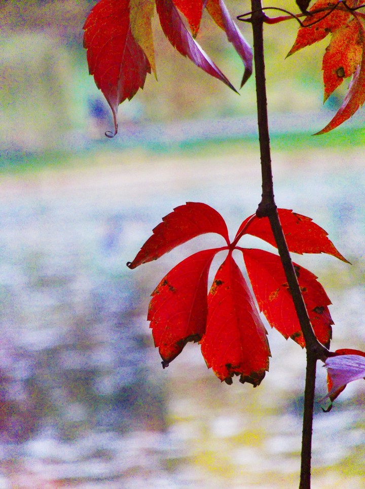 lake