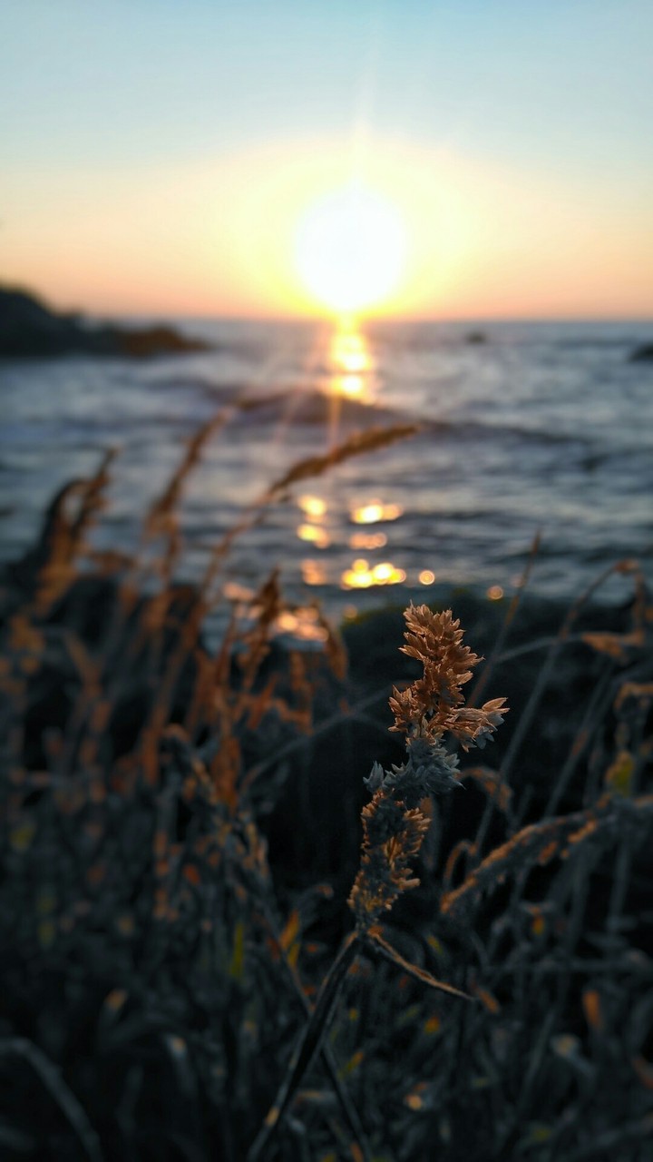 Sunset..