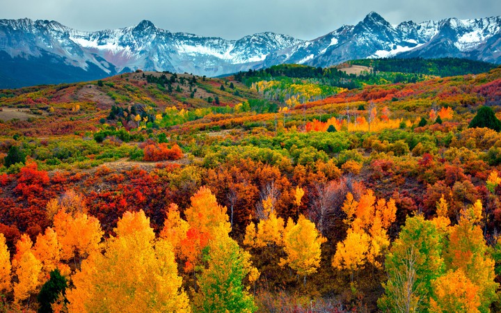 THE WONDERFUL COLORS OF AUTUMN
