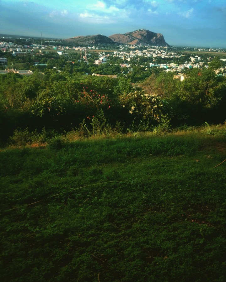 The hill view