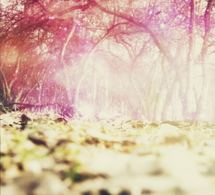 sorceress autumn