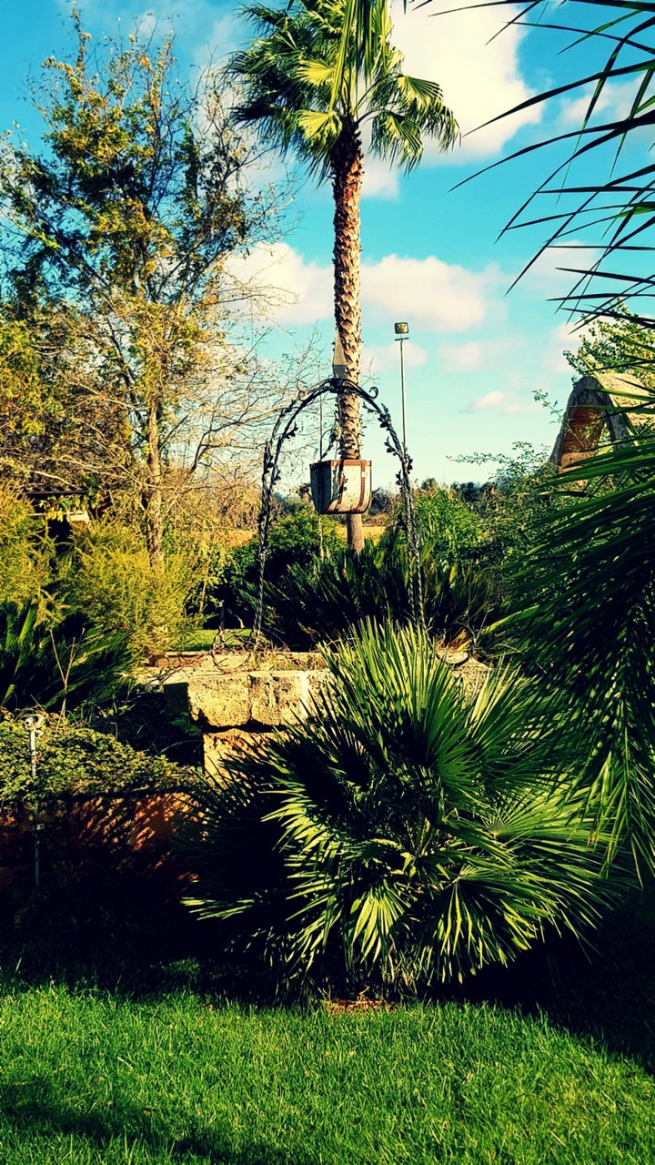 Old well in the green