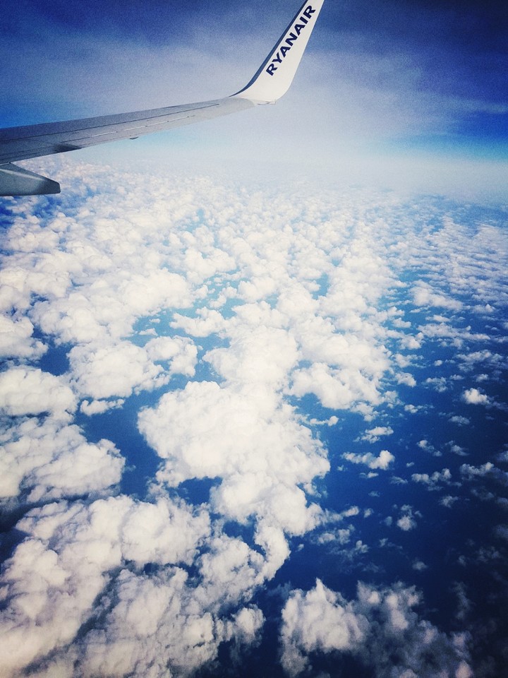 Fliegen