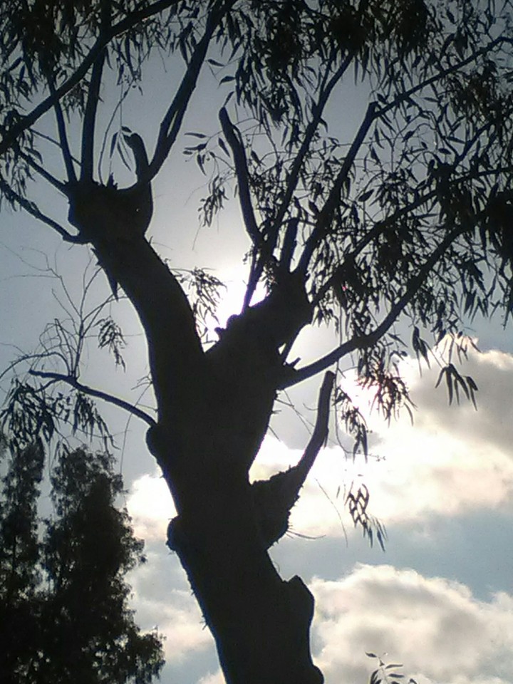 end of winter