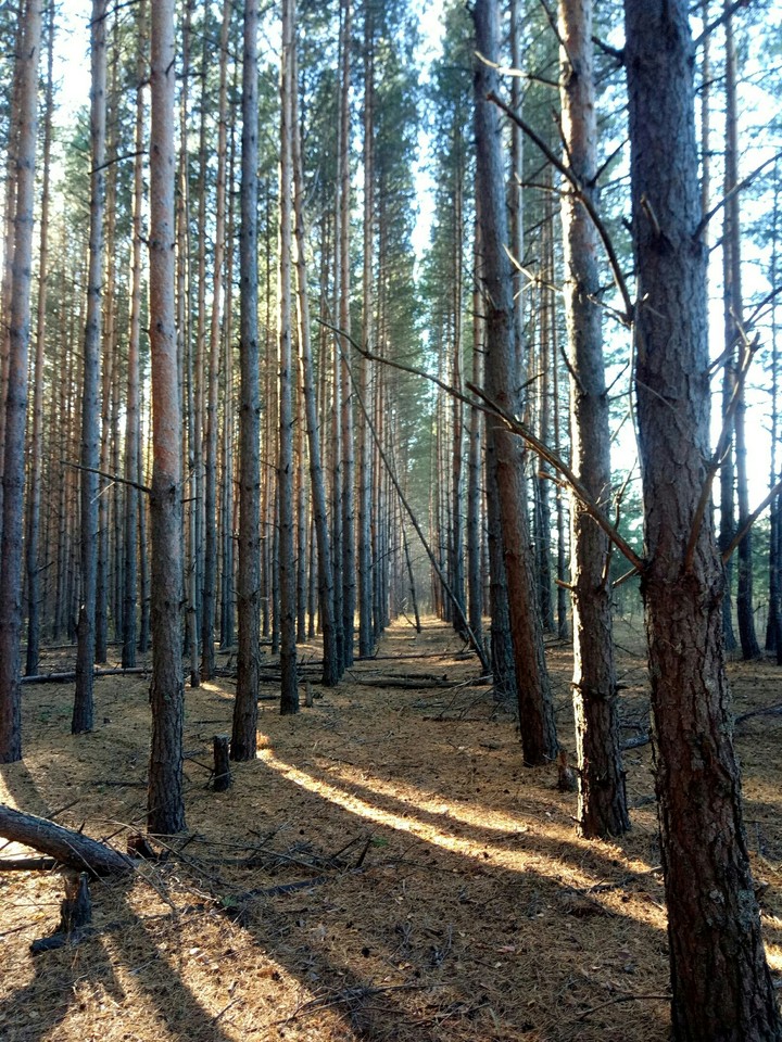 Russia