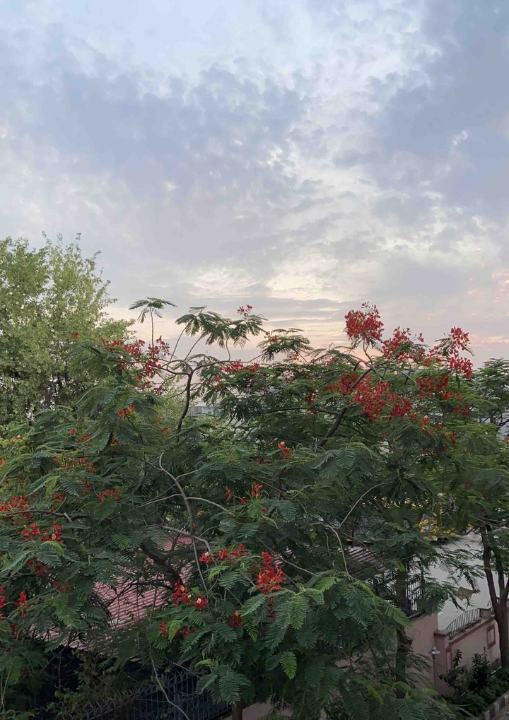 serene evening