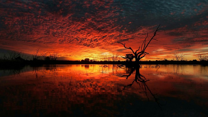 sunset