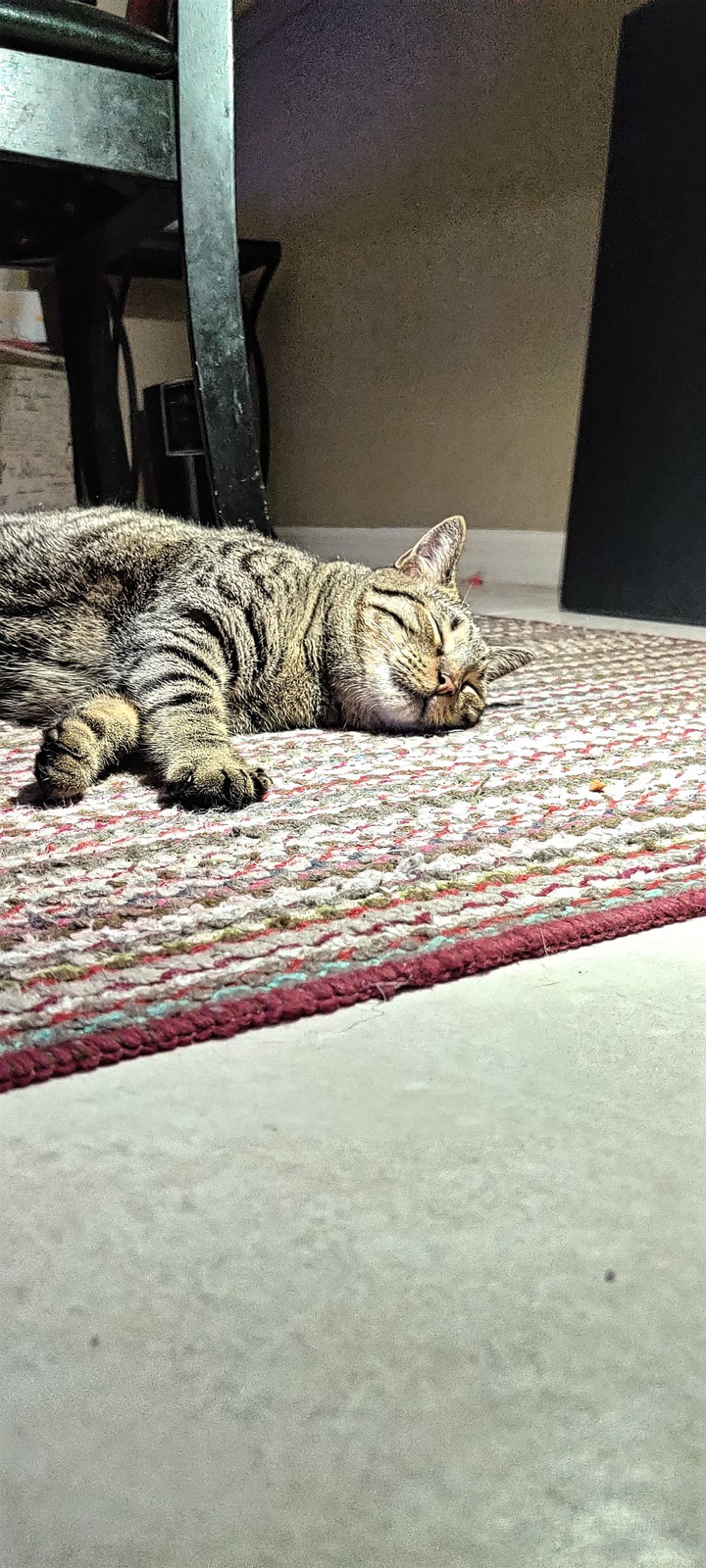 Sleep