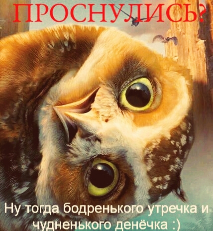 бодрое утро