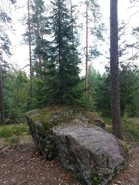 тапети woodland, property