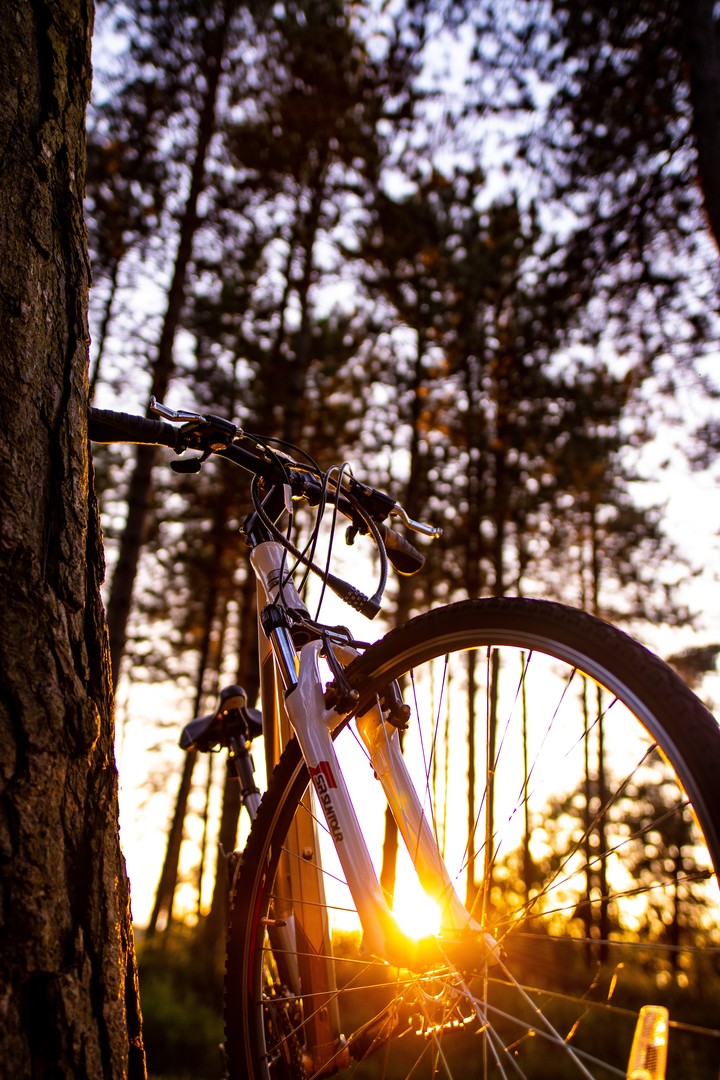 Bicycle Sunlight Summer