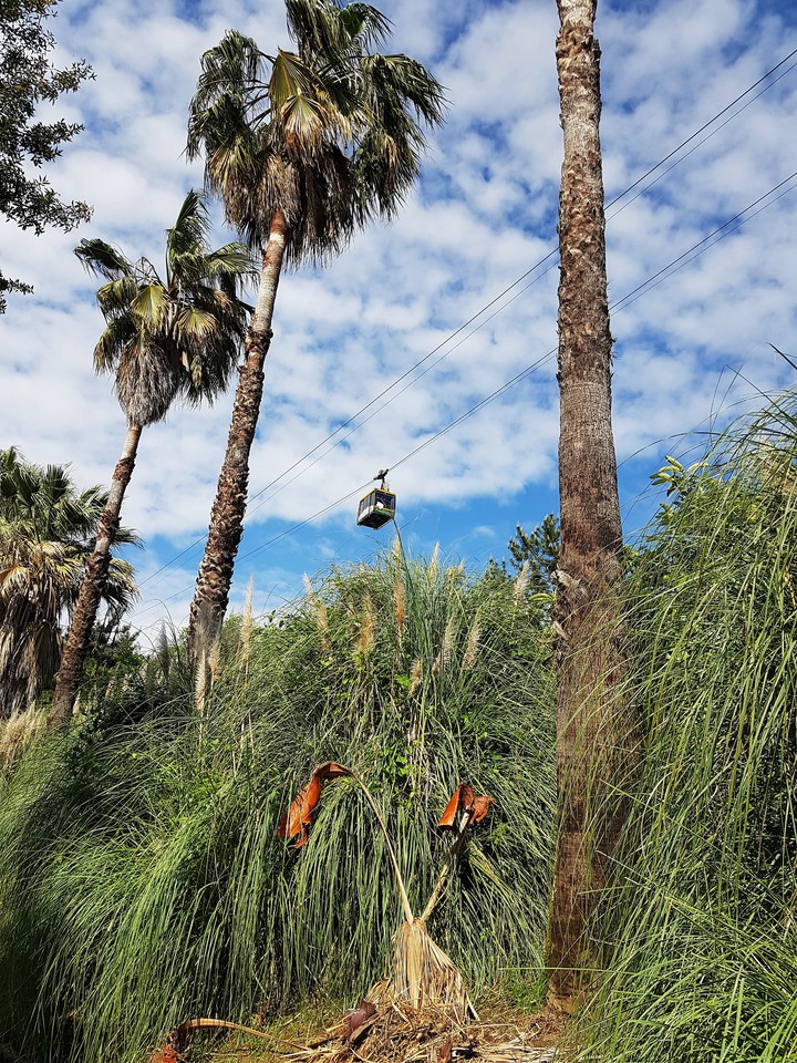 arboretum