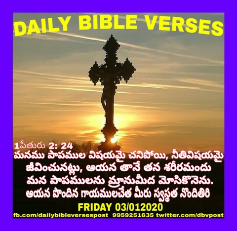 DAILY BIBLE VERSES