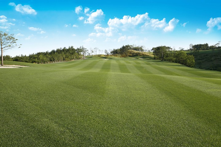Golf Course