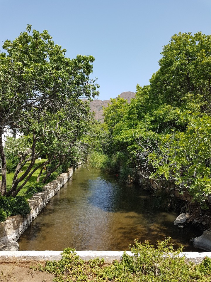 nature