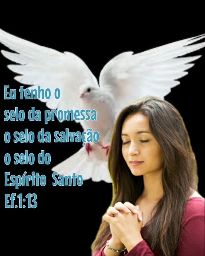 MARAVILHOSO ESPIRITO SANTO