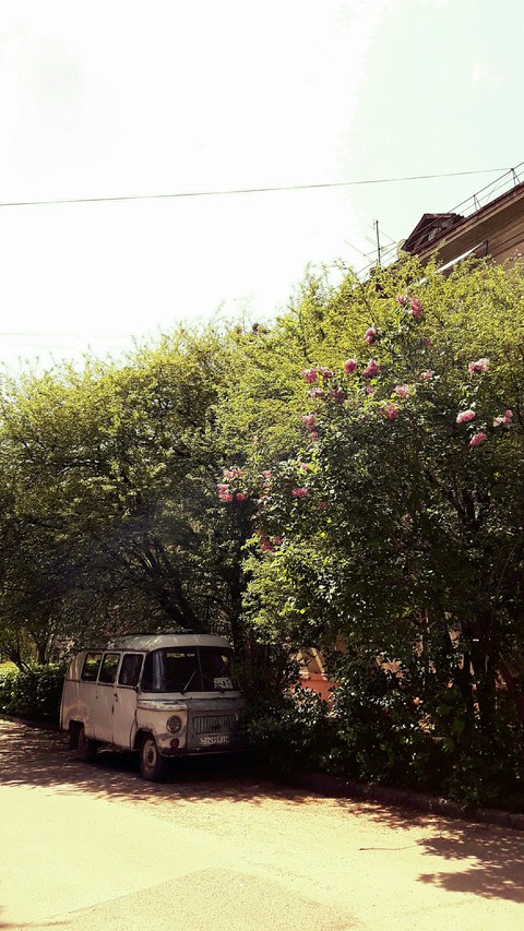 more interesting photos in the my profile