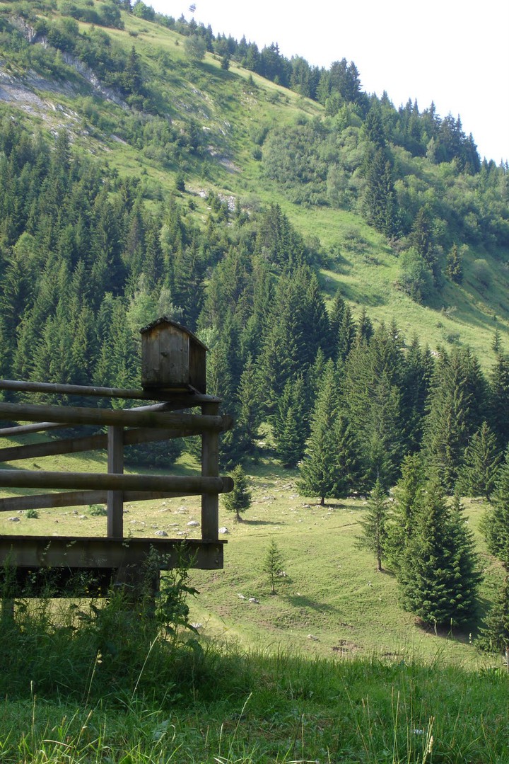 Les Carroz d'Arraches