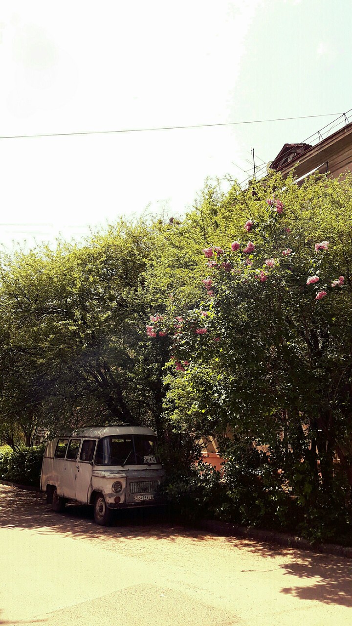 more interesting photos in the my profile