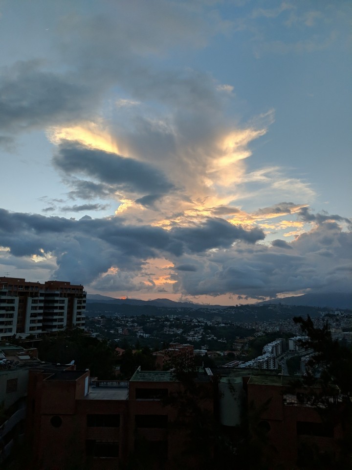 caracas la selva de concreto