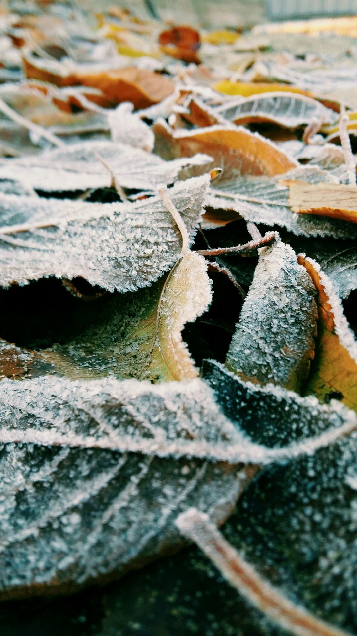 Beautiful autumn ))