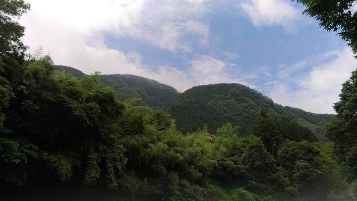 nature