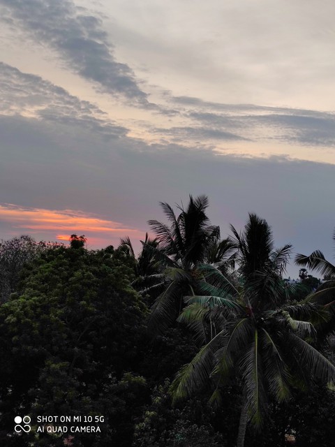 sunrise