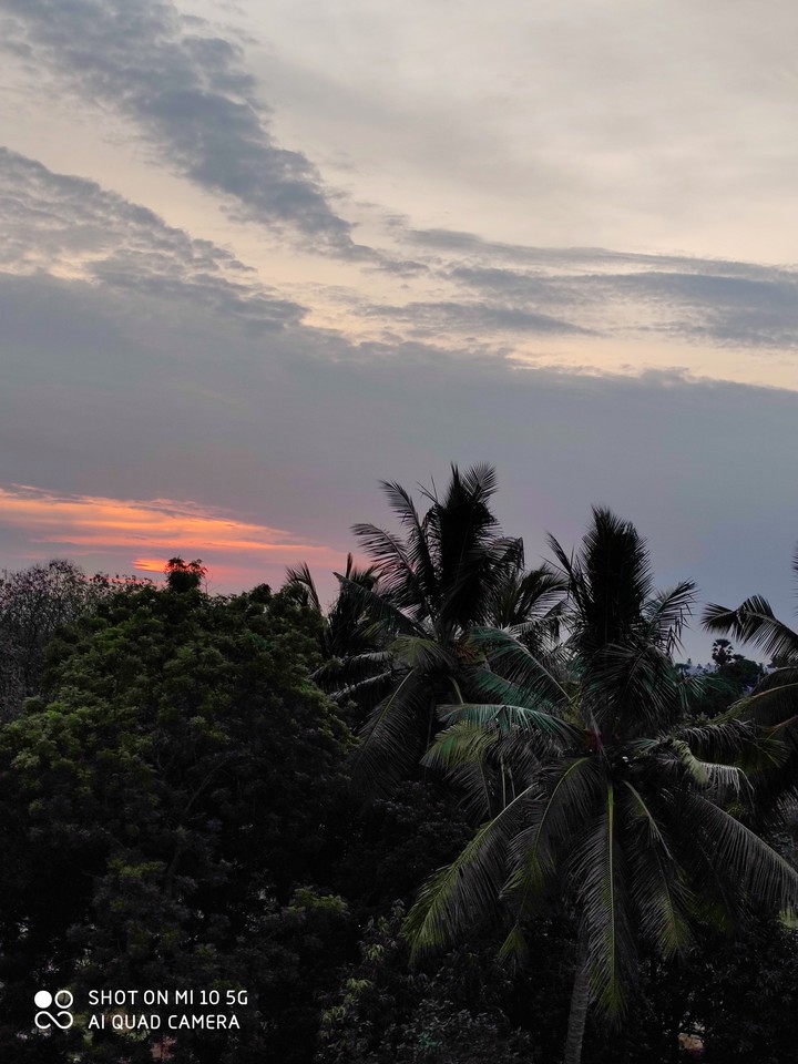sunrise