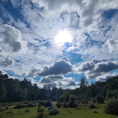 sky