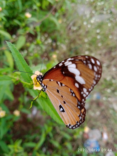 collect beautiful moment's ??
