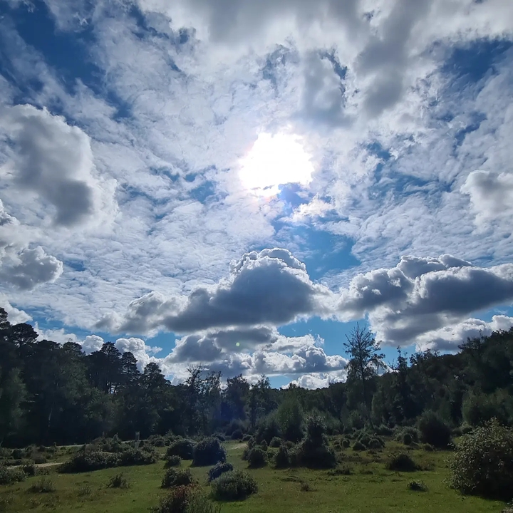 sky