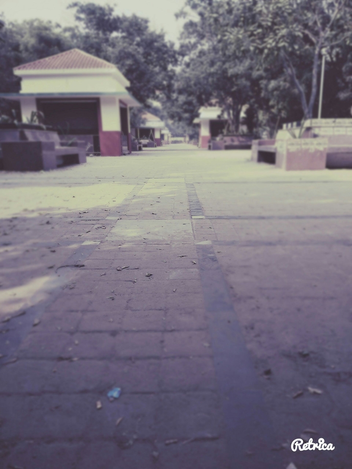 feel free