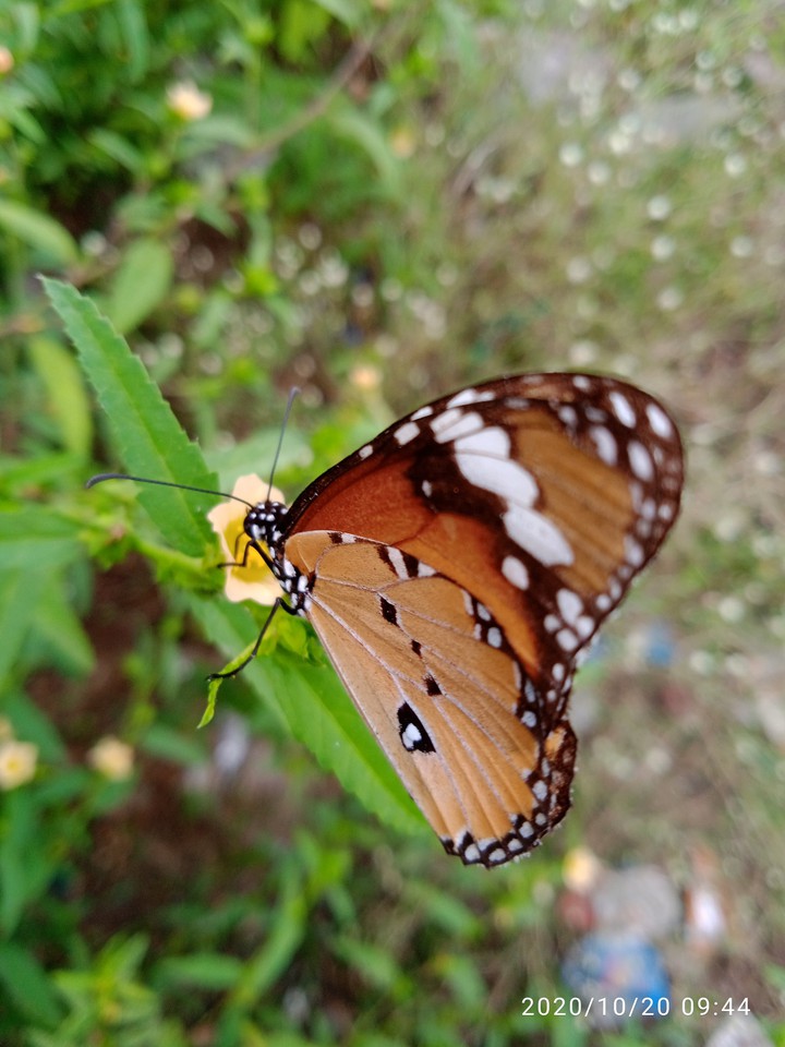 collect beautiful moment's ??