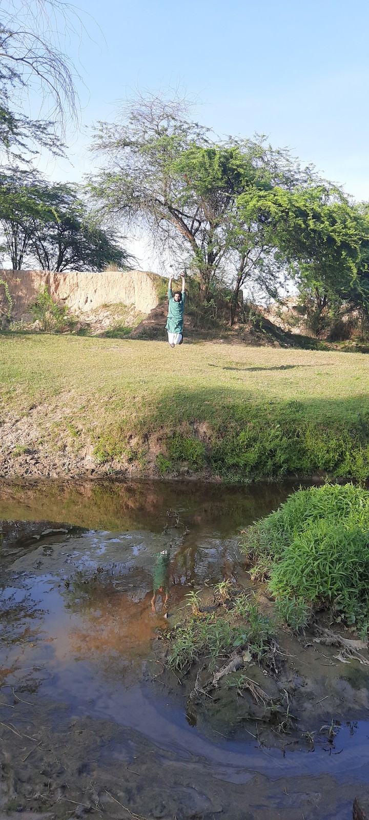 nature hug