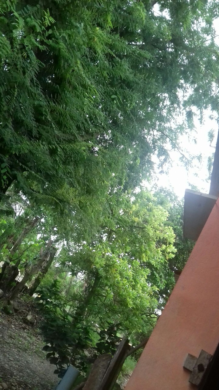 paisaje