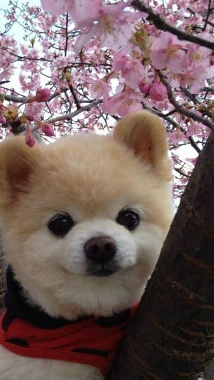 cute