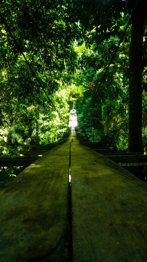 bridge