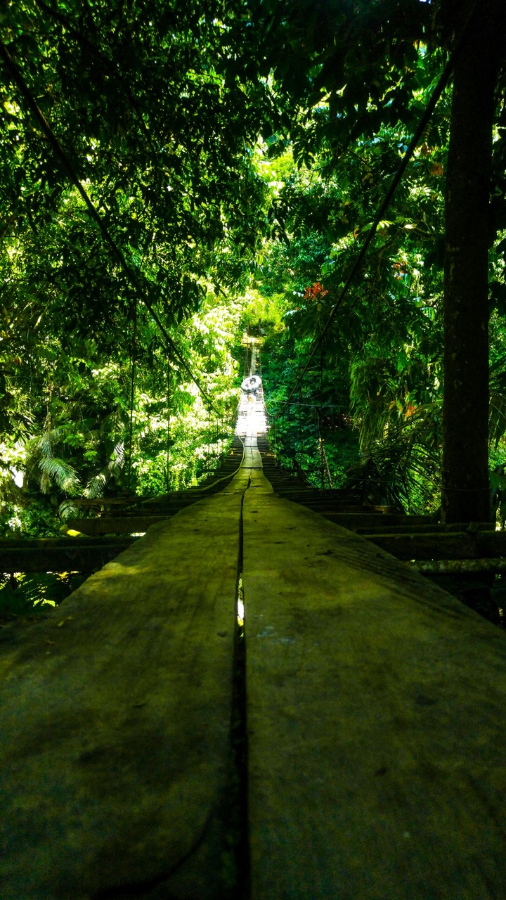 bridge
