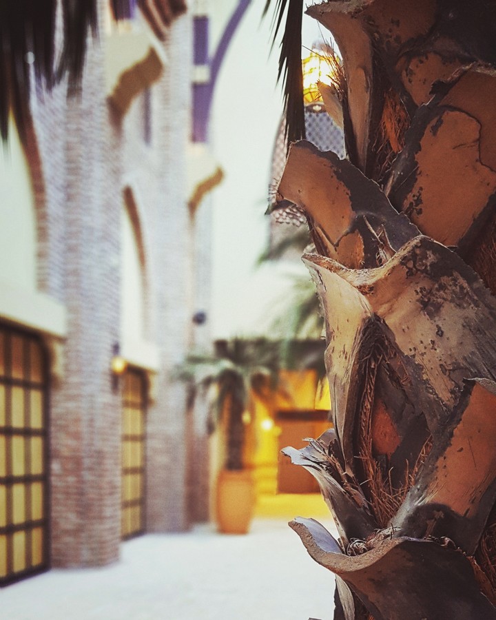 artificial palm