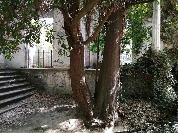 ruinas de casa
