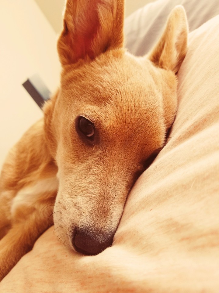 my little sweetie