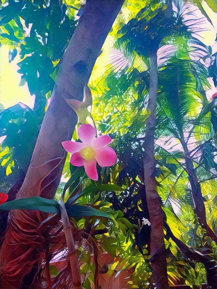 A flower