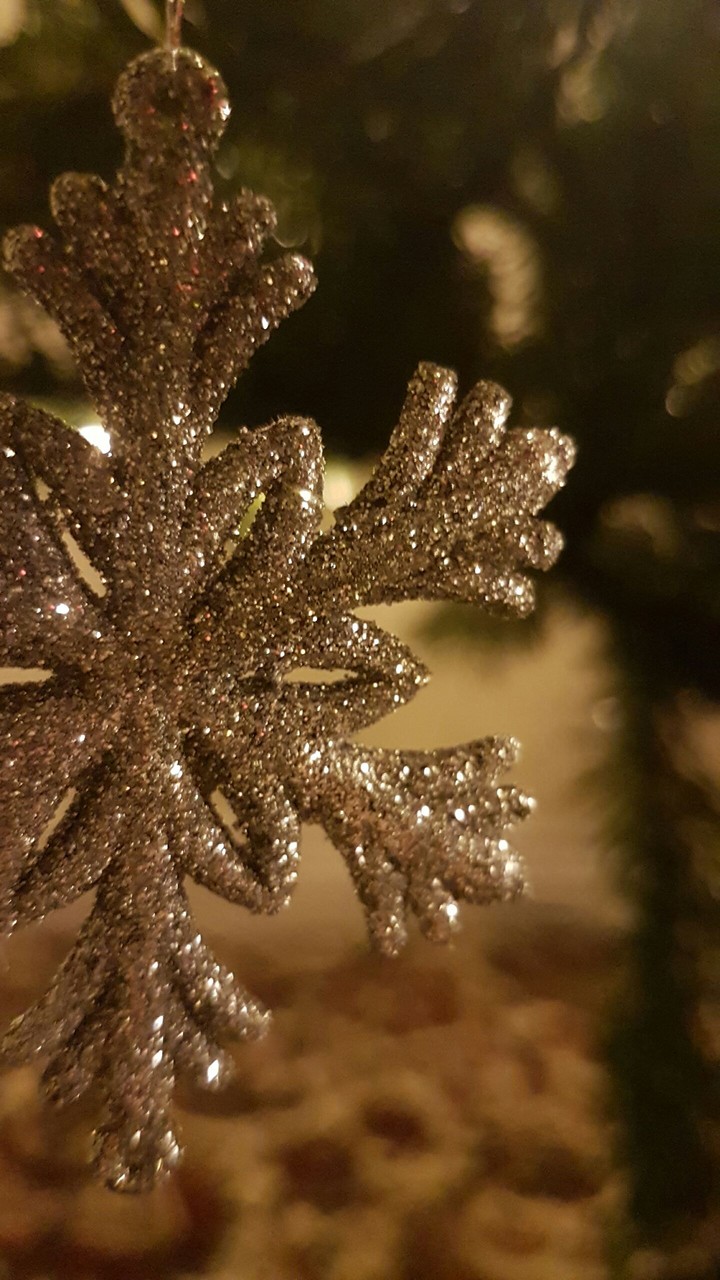 Christmas ornaments ❄