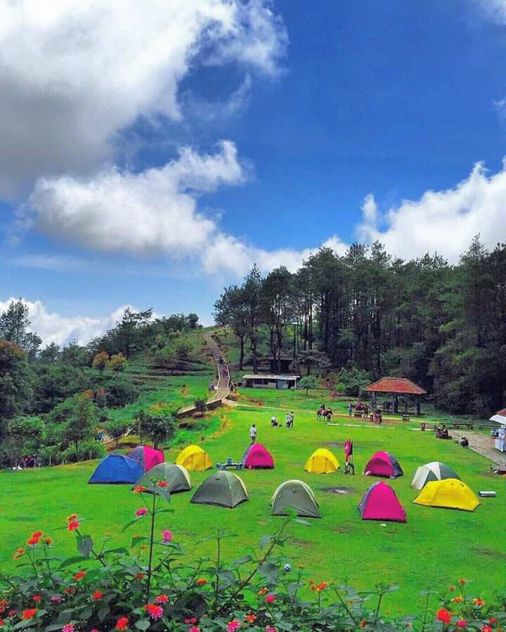 Camping