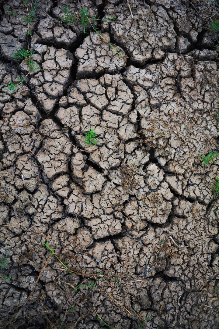 dry earth