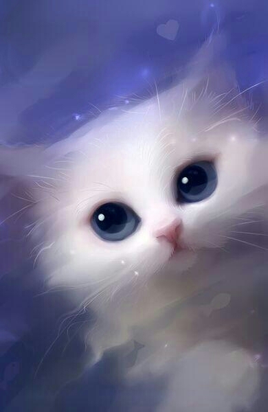 white cat