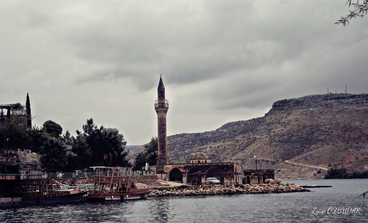 Halfeti