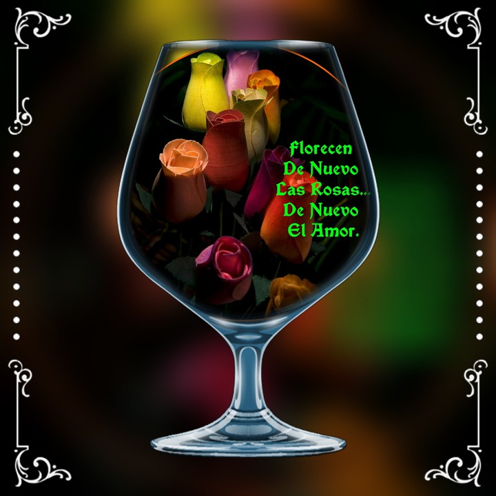 Rosas