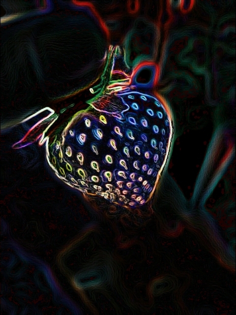 fruit